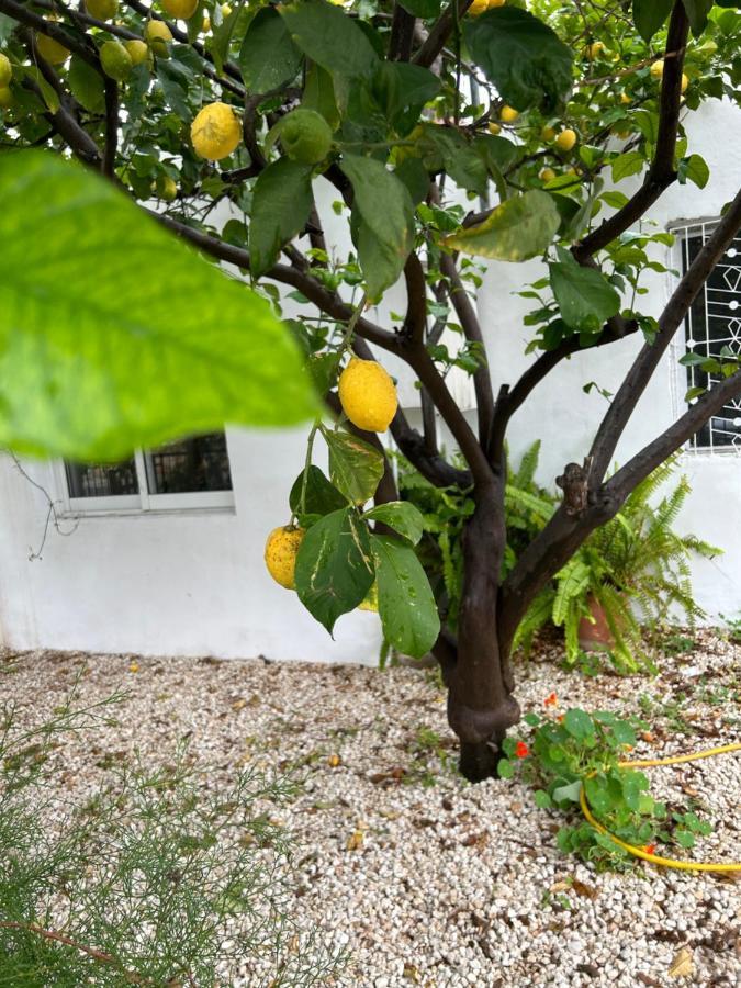 Avra House Villa Лимасол Екстериор снимка